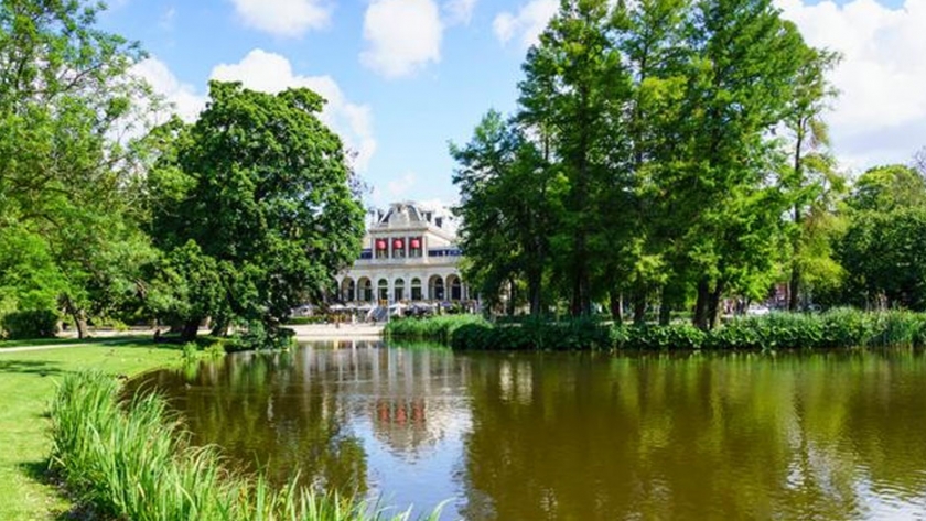 Biodiversidad en las ciudades: aún hay especies por descubrir