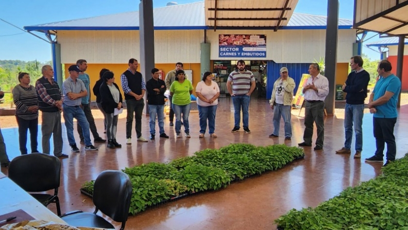Productores de la zona centro recibieron 15 mil plantines de batata