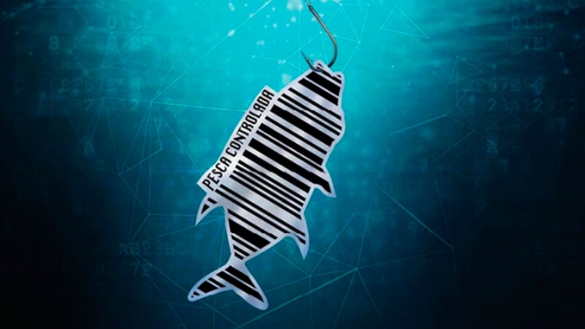 Blockchain, el arma contra la pesca ilegal
