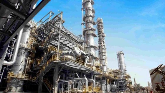 La industria petroquímica en Coronel Rosales: motor económico y desafíos ambientales