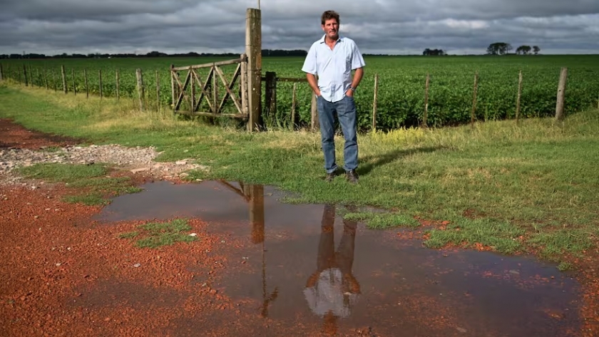 “Nos está salvando”: La lluvia llega al campo y revive la esperanza tras la sequía