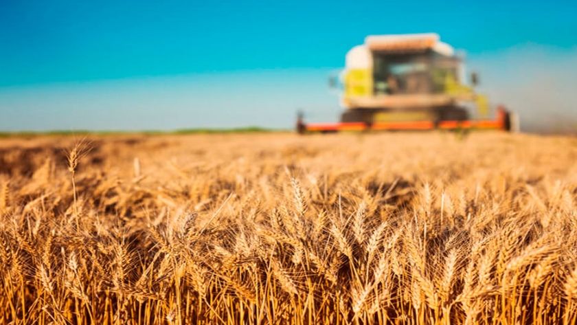 Gran interés en el mercado por un fideicomiso de créditos al agro con canje de granos