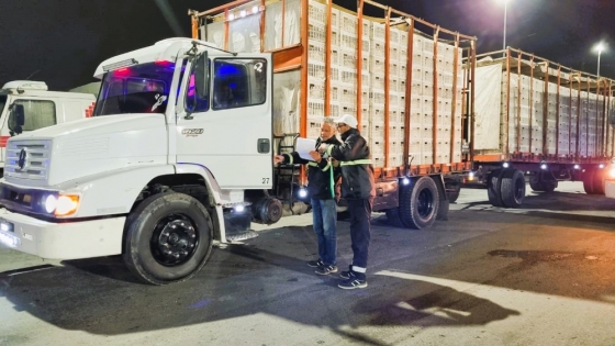 Recuerdan la obligatoriedad de contar con habilitación de transportes de animales vivos y productos de origen animal