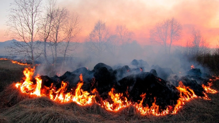 El Gobierno asiste a productores del sur en la realización de picadas cortafuego