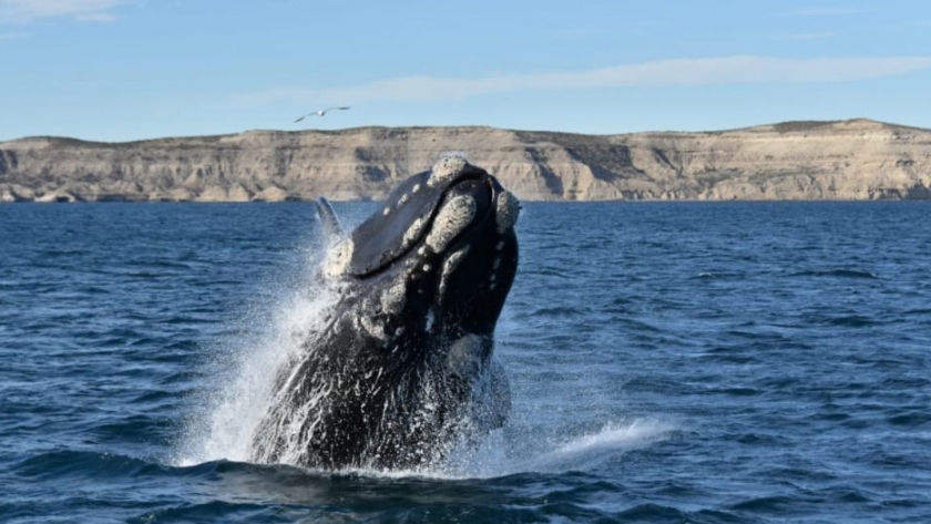 Chubut busca obtener un sello internacional como destino turístico seguro