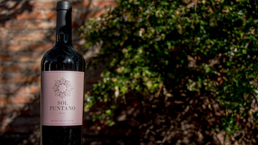 "Sol Puntano" vendió toda la producción de vino malbec