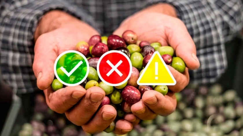 Arroz y vino, las economías regionales más golpeadas según Coninagro