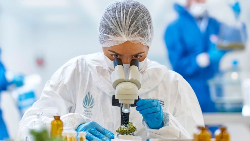 La UNLP y Bellavita Cultivos impulsan proyectos de investigación sobre cannabis medicinal