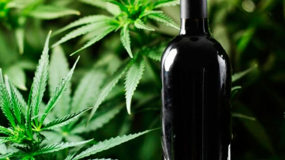 Estados Unidos apuesta por la fusión de vino con cannabis
