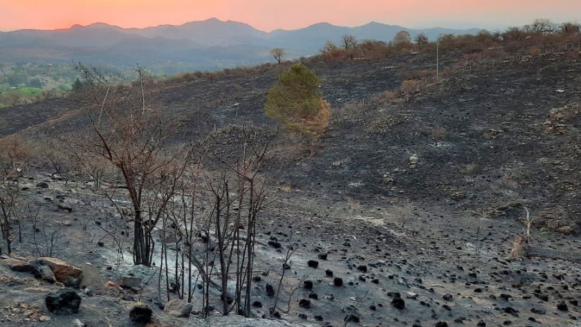 Córdoba: Agricultura declaró el estado de desastre agropecuario por incendios