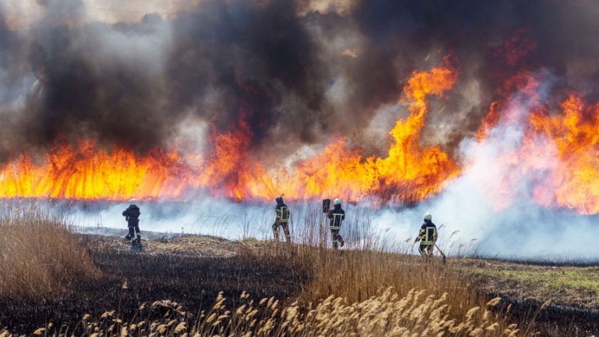 Defensa Civil intervino en más de 120 incendios forestales en octubre