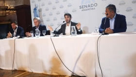 Patagonia: las elecciones que definen el equilibrio de poder en el Congreso