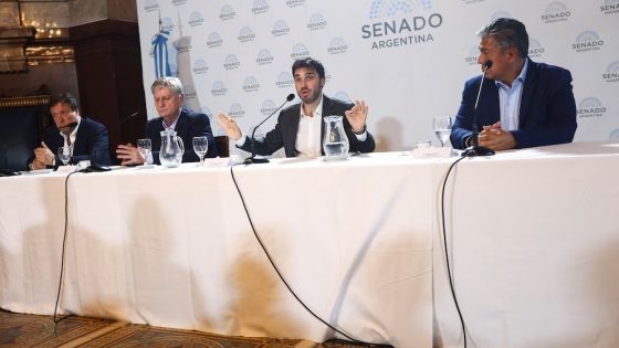 Patagonia: las elecciones que definen el equilibrio de poder en el Congreso