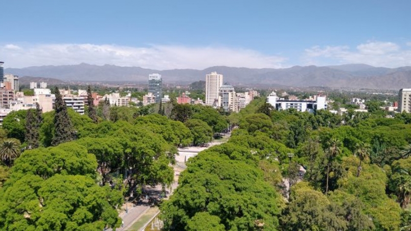 Comenzó el nuevo sistema de Gestión del Arbolado Público del Área Metropolitana