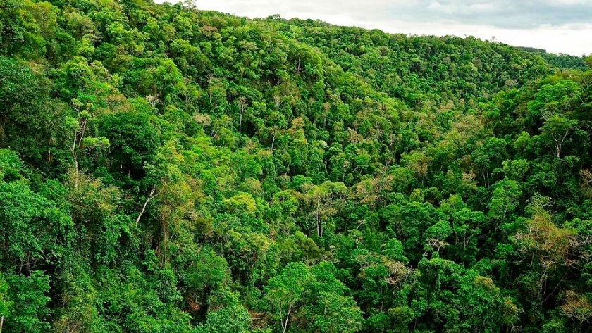 Misiones: inversión en laboratorio agrícola y forestal