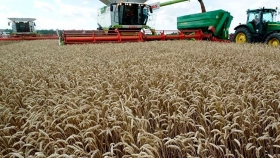 Trigo en EEUU se dispara ante la preocupación por la oferta de Rusia