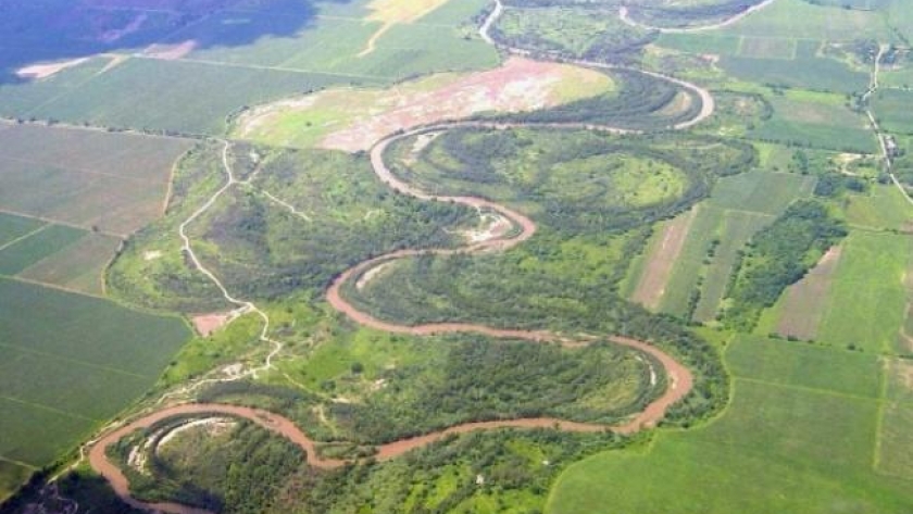 Castro: “La mortandad de peces no se debe a contaminación, sino a un fenómeno climático”