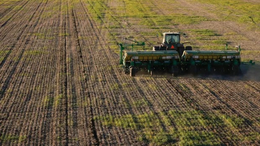 La siembra de trigo cayó un 23 % en la zona núcleo por falta de humedad, pero esos lotes ya se preparan para el maíz