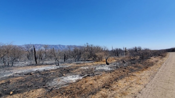 Incendios: ya se cargan las Declaraciones Juradas por Desastre Agropecuario
