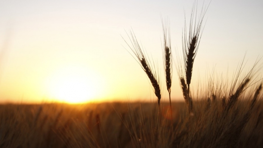 Día de las Cooperativas: los productores, con el horizonte en la sostenibilidad