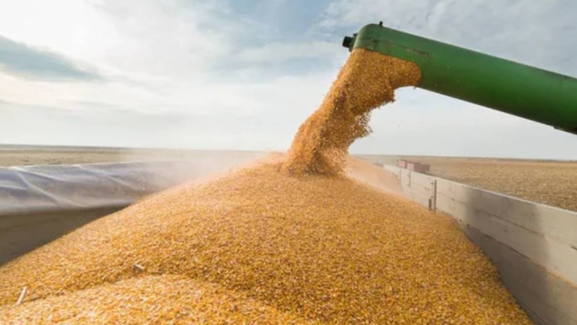 2020, un año récord para la exportación de granos y oleaginosas