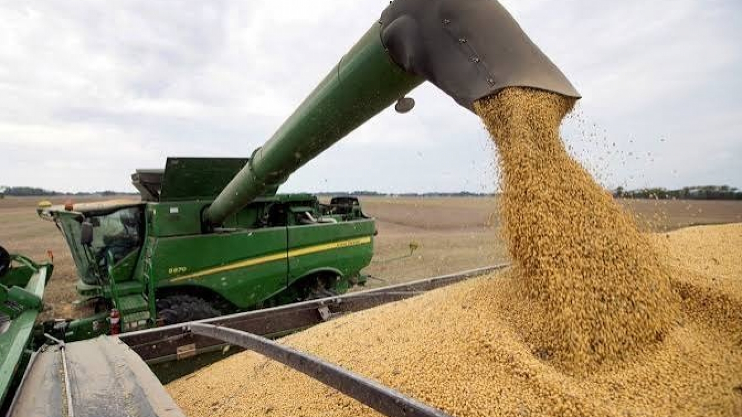 La producción de soja rozó los 50 millones de toneladas y logró su segunda mejor campaña en cinco años