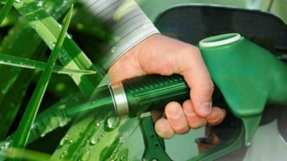 Se actualizó el precio del bioetanol de caña de azúcar