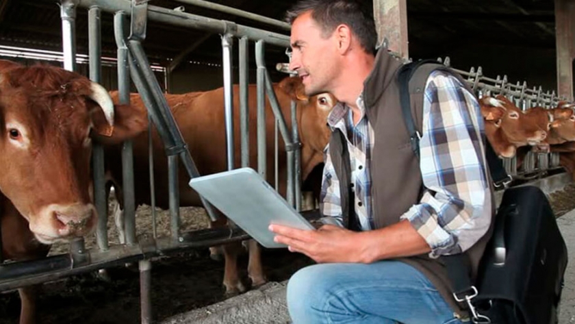 Tecnología para manejar la producción ganadera a distancia