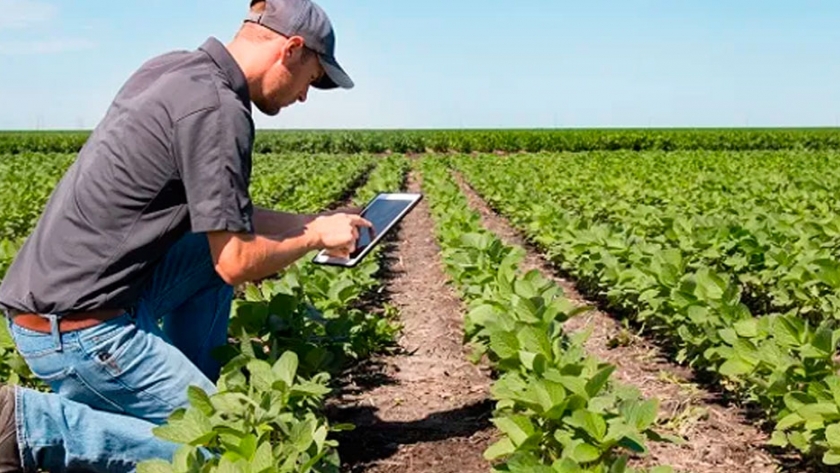 Adelanto para productores: las novedades en protección de cultivos, semillas y digitalización de BASF en Aapresid