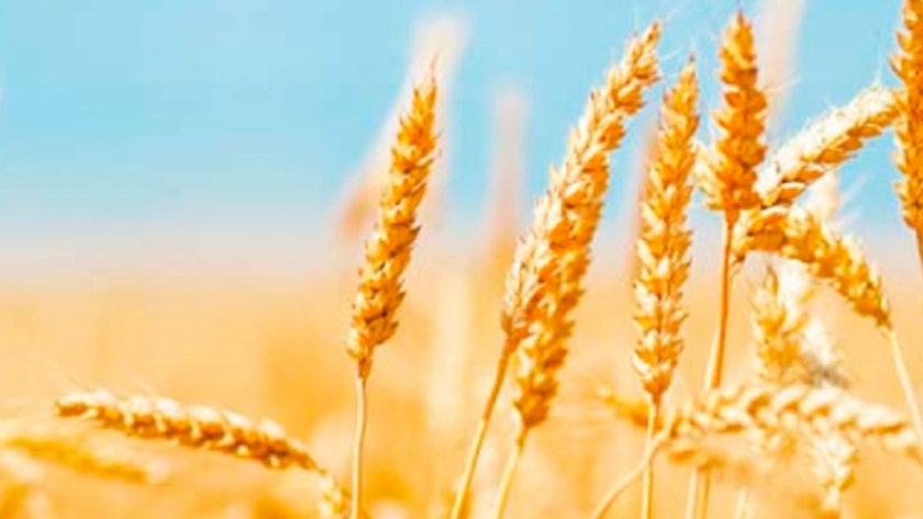 Se realizará charla de Actualidad Impositiva Agropecuaria