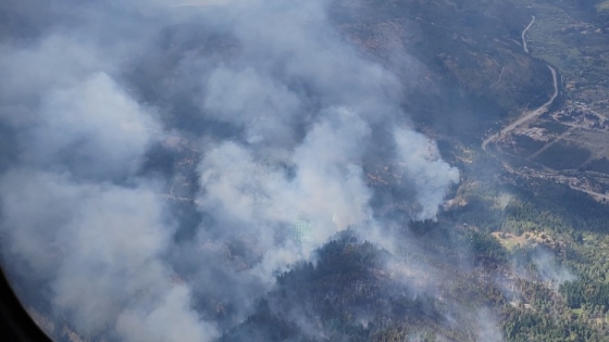 Provincia continúa combatiendo los incendios forestales en la cordillera