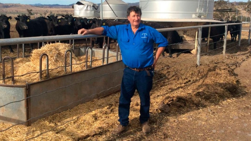 Merriwa feedlot ayuda a preservar los pastos