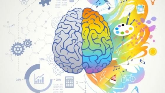 Taller de estimulación cognitiva inicia el 8 de septiembre: inscripciones abiertas