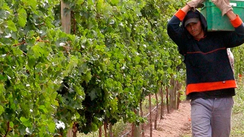 Economías regionales no pueden pagar los sueldos a los trabajadores temporales
