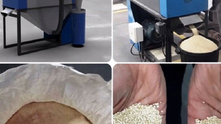 Pequeños productores de quinoa de San Antonio de los Cobres formaron una cooperativa agropecuaria