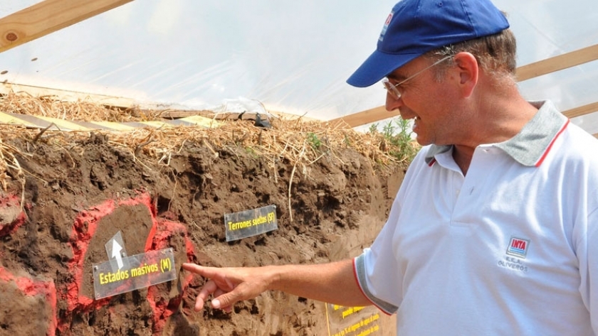 La importancia de los suelos para almacenar carbono