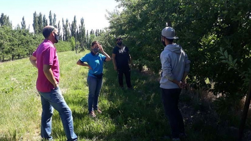 Se llevaron a cabo con éxito las capacitaciones frutícolas en Cipolletti y Villa Regina