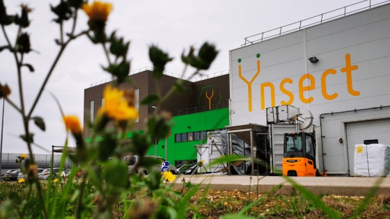 Uncertainty in the Insect Industry: ÿnsect Seeks Investors and Agronutris Files Safeguard Plan