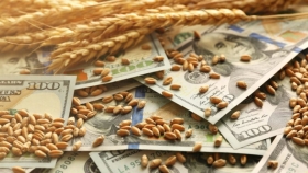Dólar agro: mejoran los precios al dispararse el paralelo, pero la soja comercializada es un tercio menor