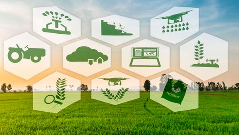 Cómo es el programa que promete revolucionar la agricultura con un análisis digital del cultivo