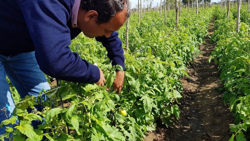 Riacho He Hé: familias paipperas perciben nuevamente el pago por aportes a Nutrir