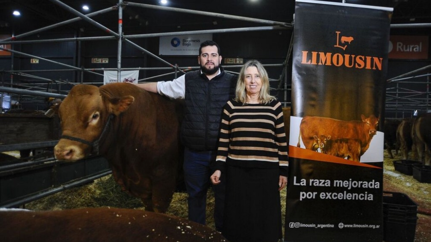 A 60 años de su asociación, Limousin apuesta a consolidar su crecimiento con genética y mayor eficiencia productiva