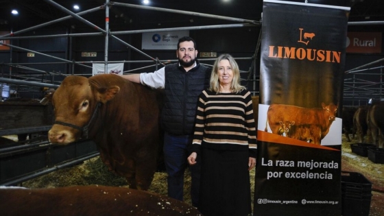 A 60 años de su asociación, Limousin apuesta a consolidar su crecimiento con genética y mayor eficiencia productiva