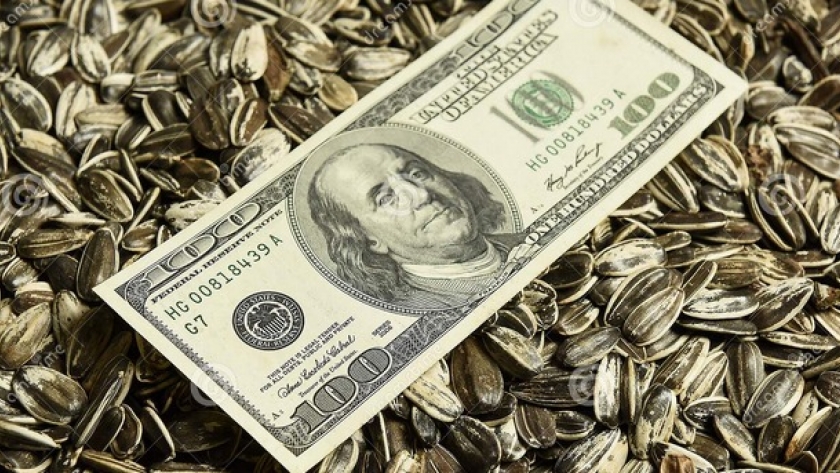 El próximo 31 de mayo se acaba tanto el “dólar soja 3” como el “dólar girasol”