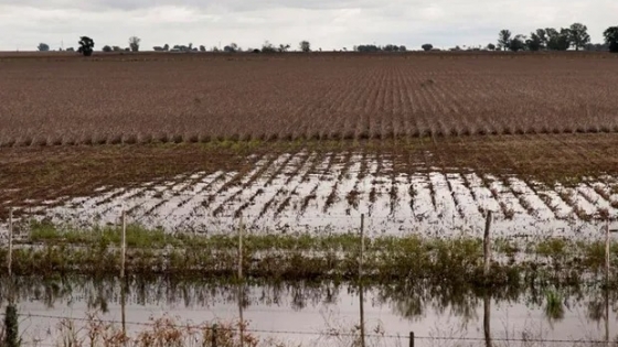 Las lluvias fueron excesivas y se reportaron pérdidas productivas Las precipitaciones afectaron al sur de Santa Fe; los eventos dejaron campos inundados y complicaciones en la ganadería  Agrofy News