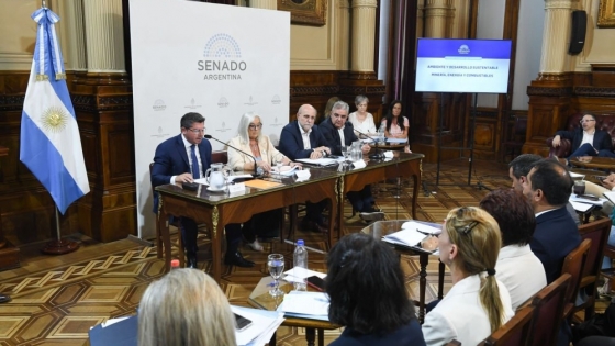 Marcelo Orrego expuso en el Senado y respaldó el proyecto que aclara el alcance de la Ley de Glaciares