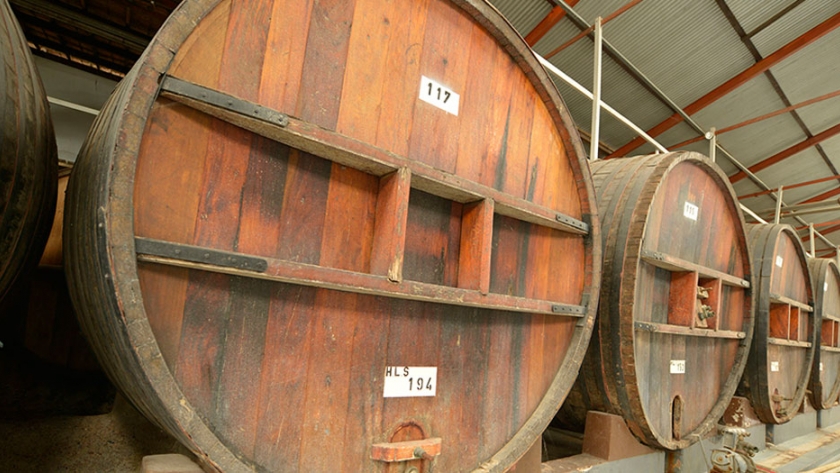 Del puesto 11 al 8 en el ranking global: las exportaciones de vino aumentaron 34% hasta noviembre