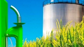 Biocombustibles: el motor del desarrollo