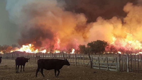 Alertan sobre la necesidad de reforzar la prevención de incendios rurales antes de una nueva temporada de riesgo