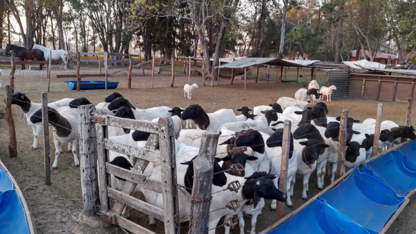 Impulso a la agroecología y a la agricultura familiar en Corrientes y Misiones
